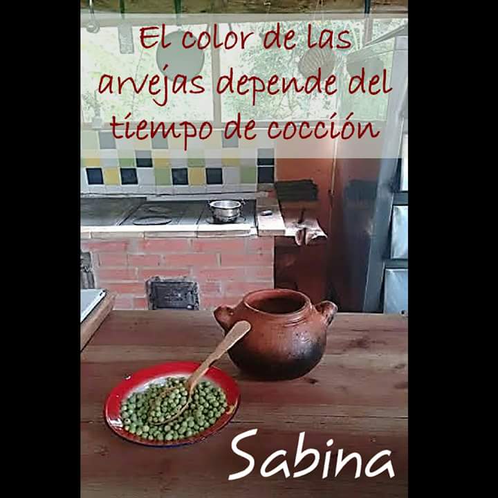 cafe_sabina's tweet photo. #tipsabina #sabinacafesaboresysaberes https://t.co/wacodRJ8m1