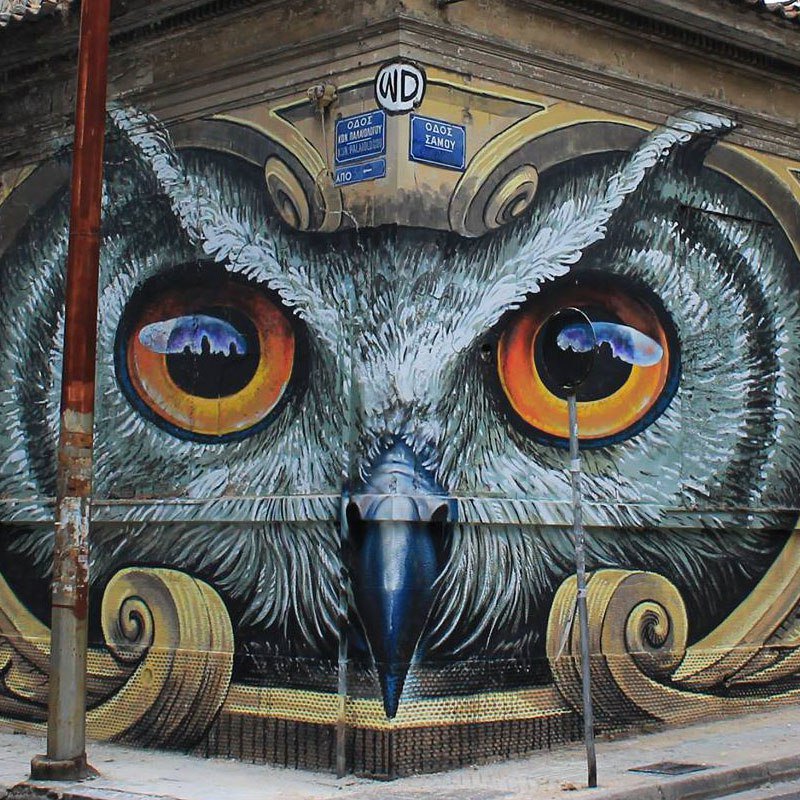 alexeylyolik's tweet photo. Owl mural by WD street art, Athens Greece
#owl #mural #Athens #Greece #StreetArt https://t.co/Eb92HCs88t