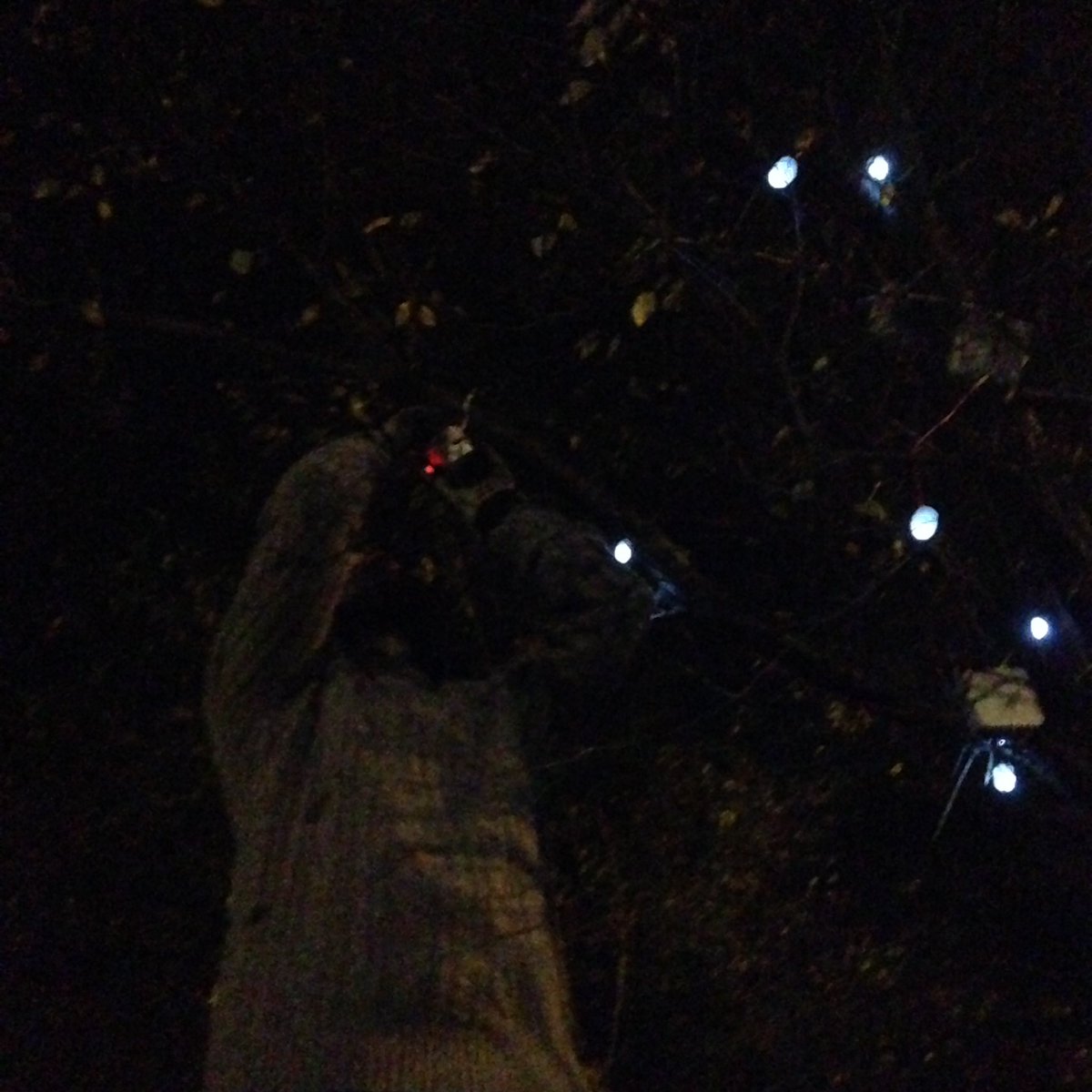 fixedgrinnart's tweet image. Test hanging in preparation of #lightwaves16 @QuaysCulture