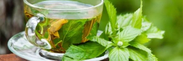 bodybitesau's tweet photo. How Liver Cleansing Tea is Useful? -- https://t.co/s7UTPI8K3T https://t.co/c8H1cZbTxQ