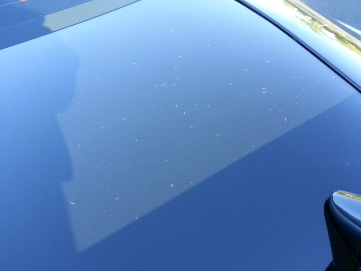 gtmcl's tweet photo. #sema2016 @Dodge @FiatChrysler_NA
#factorypaintdefects
#customercareless
#NoSupport
#MisplacedLoyalty
#Unresolved
#ThatsMyDodge
#NoPride https://t.co/kUJsT2p3jP