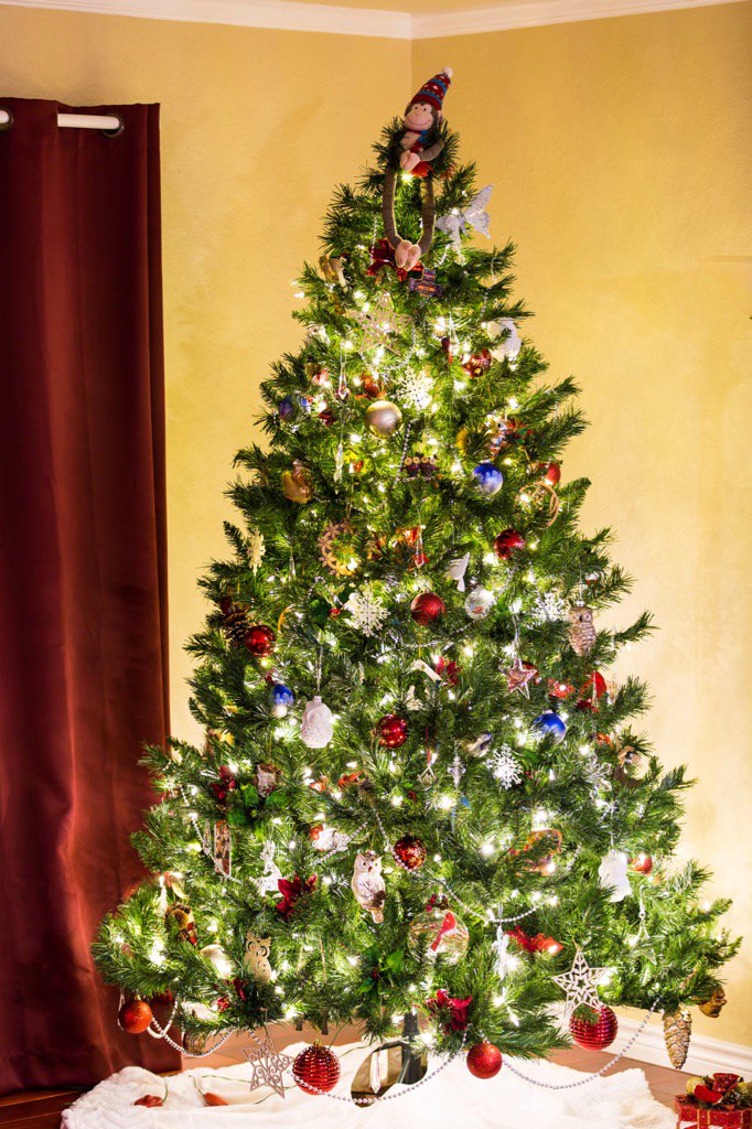 annaintx's tweet photo. O Christmas Tree, O Christmas Tree, How lovely are your branches! #ChristmasTree #Christmas2016Countdown https://t.co/gpMKXUCcJa