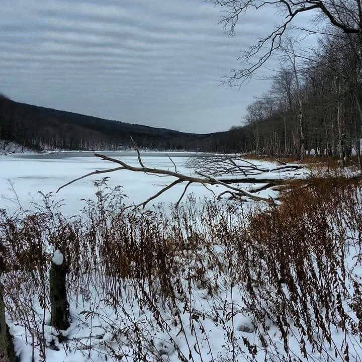 felixfsantistev's tweet photo. RT https://t.co/OSEggaL8GG #nofilter #mudpond #Catskills #hiking #hunting #outdoors #NaturePhotography #photograp… https://t.co/9r0TxpKTaq