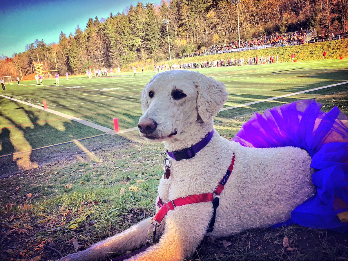ADevlinGauthier's tweet photo. #BeatMountUnion #SaxonNation @LilAlf01 #gosaxons https://t.co/tFN9215vl5