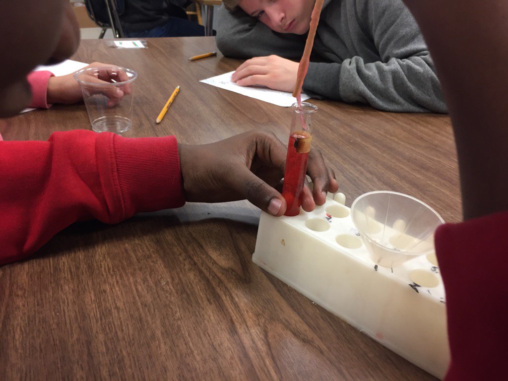 dwasserman3's tweet photo. Strawberry DNA extraction. #sennettshines https://t.co/P7YvPoQLqi