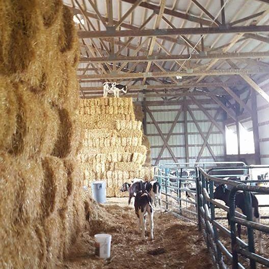 dabeachofdewitt's tweet photo. #MiAgriculture16 https://t.co/Xd6VM9eFvL