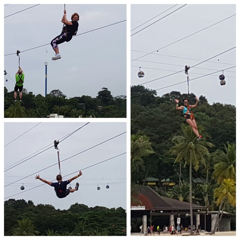 IanWRobb's tweet image. Four of our flying foxes on the mega zip line at Sentosa on the last obstacle great day , great team work.