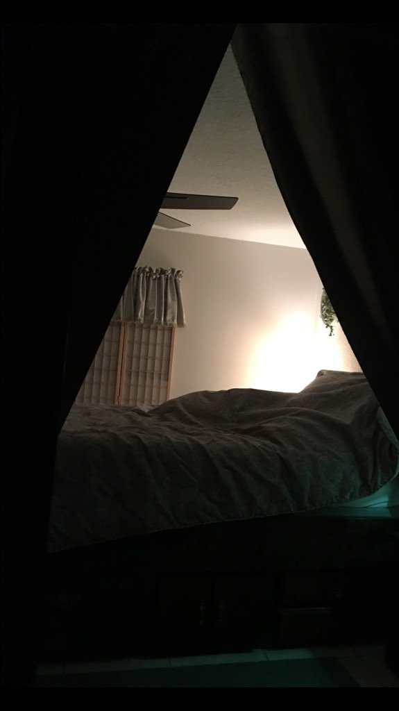 DianeEarnhardt's tweet image. #Sunset🌄 #SunsetReflection🌄😎✨🌟🌴💫✨✨ #FloridaStyle🌴