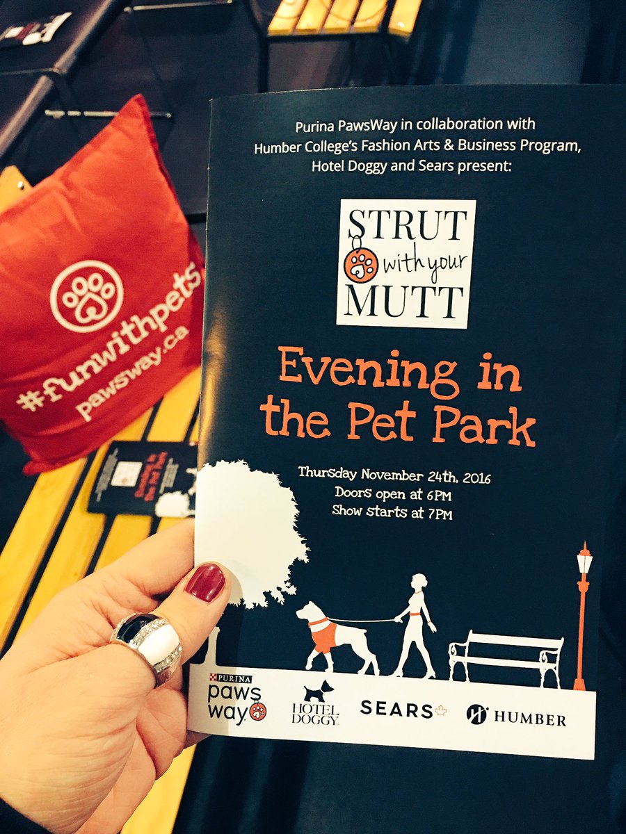 jennleereitano's tweet photo. Thanks to @PawsWay #SWYM2016 will be donating $2500 to Save Our Scruff #GivingTuesday @humbercollege https://t.co/8s3XgNNuzu