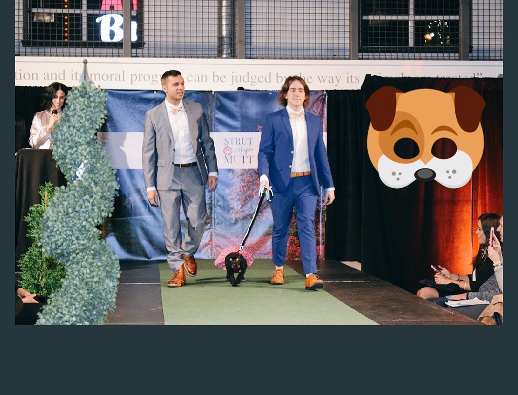 jennleereitano's tweet photo. Thanks to @PawsWay #SWYM2016 will be donating $2500 to Save Our Scruff #GivingTuesday @humbercollege https://t.co/8s3XgNNuzu