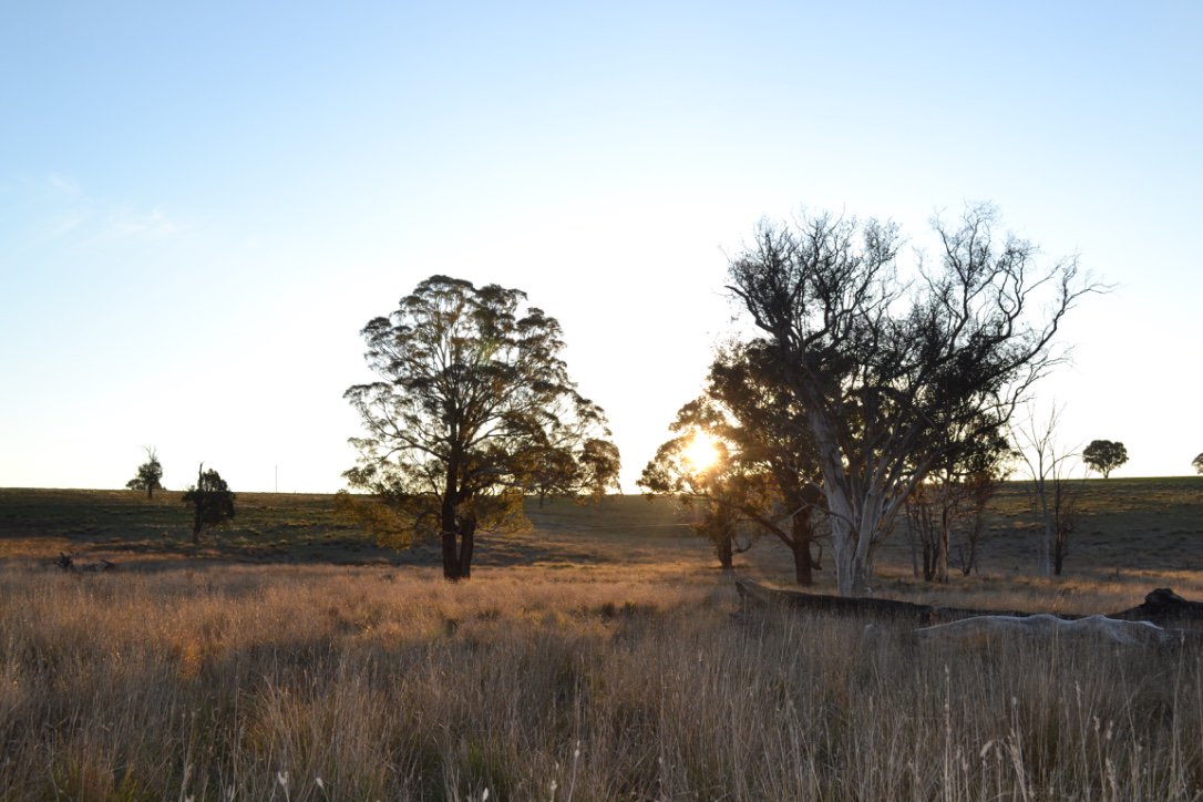 Getting so excited about Far West Living telling beautiful stories of rural Aus. Listen ow.ly/WpBC306C79e #podcast #agchatoz