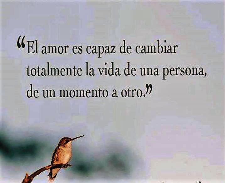 TC_Falcone's tweet photo. CUÁNTA VERDAD!!! https://t.co/6mURE8HbgT
