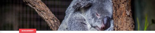 Townsqd's tweet photo. Are you an exhausted #smallbusiness owner? The 1st step to getting more rest may be keeping regular business hours! https://t.co/fy6gnVZkGu https://t.co/jbqPpNThcP