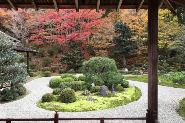 hittobito's tweet photo. 今年の紅葉は早めでしたね。京都は今週末がラストチャンスかもです！
#京都 #紅葉
https://t.co/48aQZ2wAMv https://t.co/dsrmNJcKy2