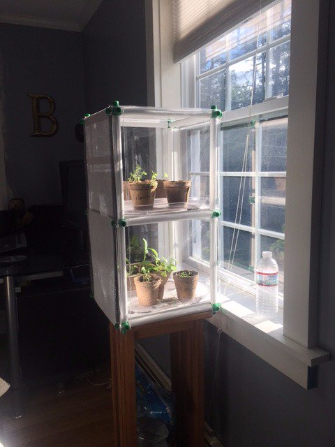 GrowFrame tweet media