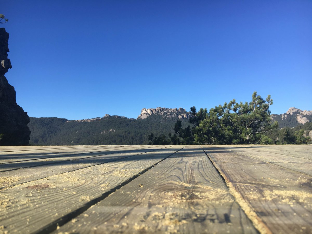 RushmoreTramway's tweet photo. The presidents are following our zip line tour progress and you should too! #rushmore #zipline #transformationtuesday #blackhills #travel https://t.co/2kquQe372T