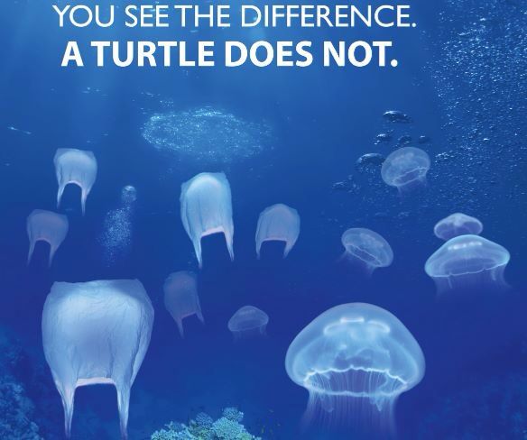 LC_Plastics's tweet photo. Choose reusable bags.... #reusable #bags https://t.co/kyKkVG01qE