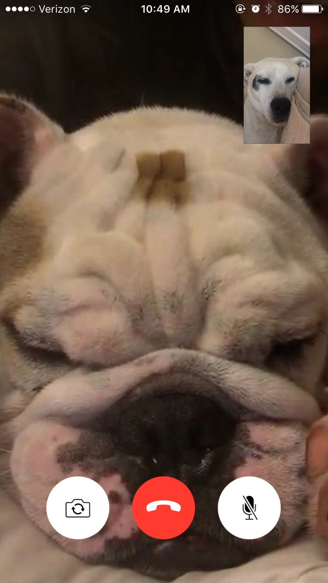 staphdevita's tweet photo. When you love to facetime bae but you're too tired to talk https://t.co/JmH7mfkEjE