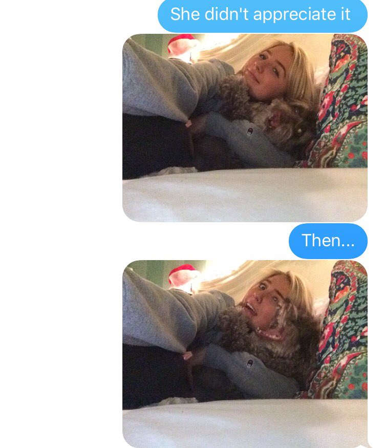 averyengelmeyer's tweet photo. Just wanted a selfie with my dog https://t.co/9PYF0bcnKt