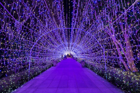 readjam_english's tweet photo. #Enoshima is three major #illumination in #Kanto region. You can enjoy night view from #seacandle , #nightaquarium and #candleroad. https://t.co/JjCtQoXLHM