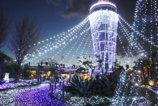 readjam_english's tweet photo. #Enoshima is three major #illumination in #Kanto region. You can enjoy night view from #seacandle , #nightaquarium and #candleroad. https://t.co/JjCtQoXLHM