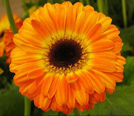 QuestionDeJour's tweet image. Why do we trade our time, our life, for small pieces of paper that promise . . .  promise what?