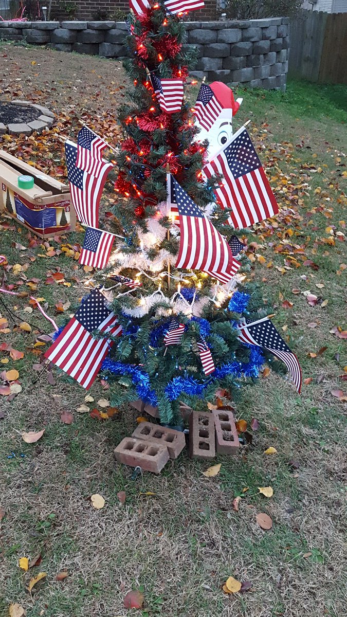 TinaAlloway's tweet photo. I support the Christmas tree AND our flag!!!! Trying to ban both??? Sad!!! https://t.co/IVvrPzSzyJ