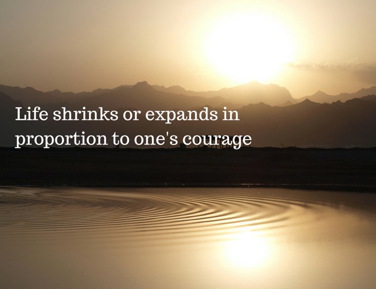 thetrusttest's tweet photo. Life shrinks or expands in proportion to one's courage #WednesdayWisdom #Quotes https://t.co/6PfhcIOBBQ
