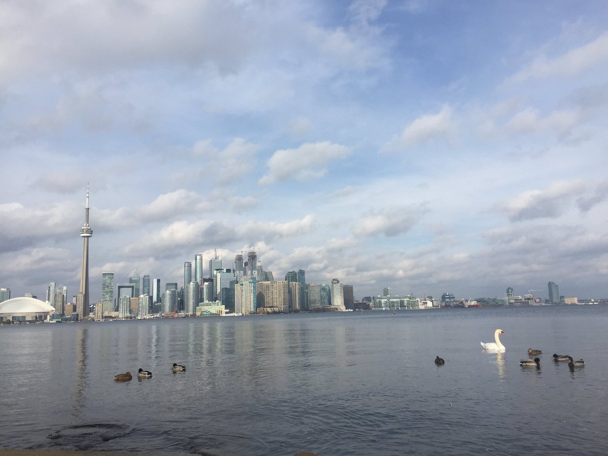 Nonotweaver's tweet photo. Beautiful Toronto #toronto #city https://t.co/hyTP5jOv1k