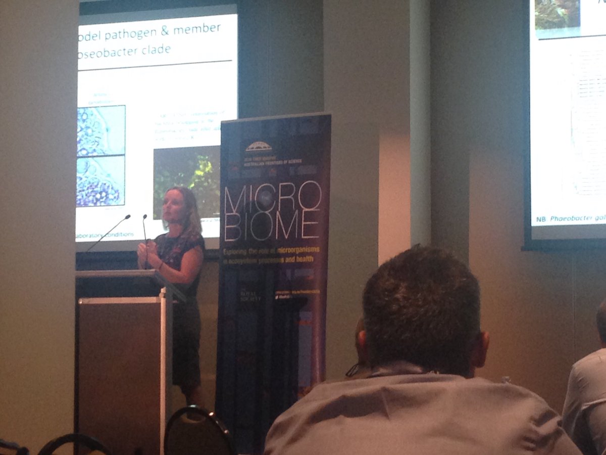 SimoneCRuefy's tweet photo. After talks on microbes in guts, soils and water, .@SuEgan4 is taking us for a dive into the microbiome of seaweed #AusFoS16 https://t.co/DoPh8i8cFd