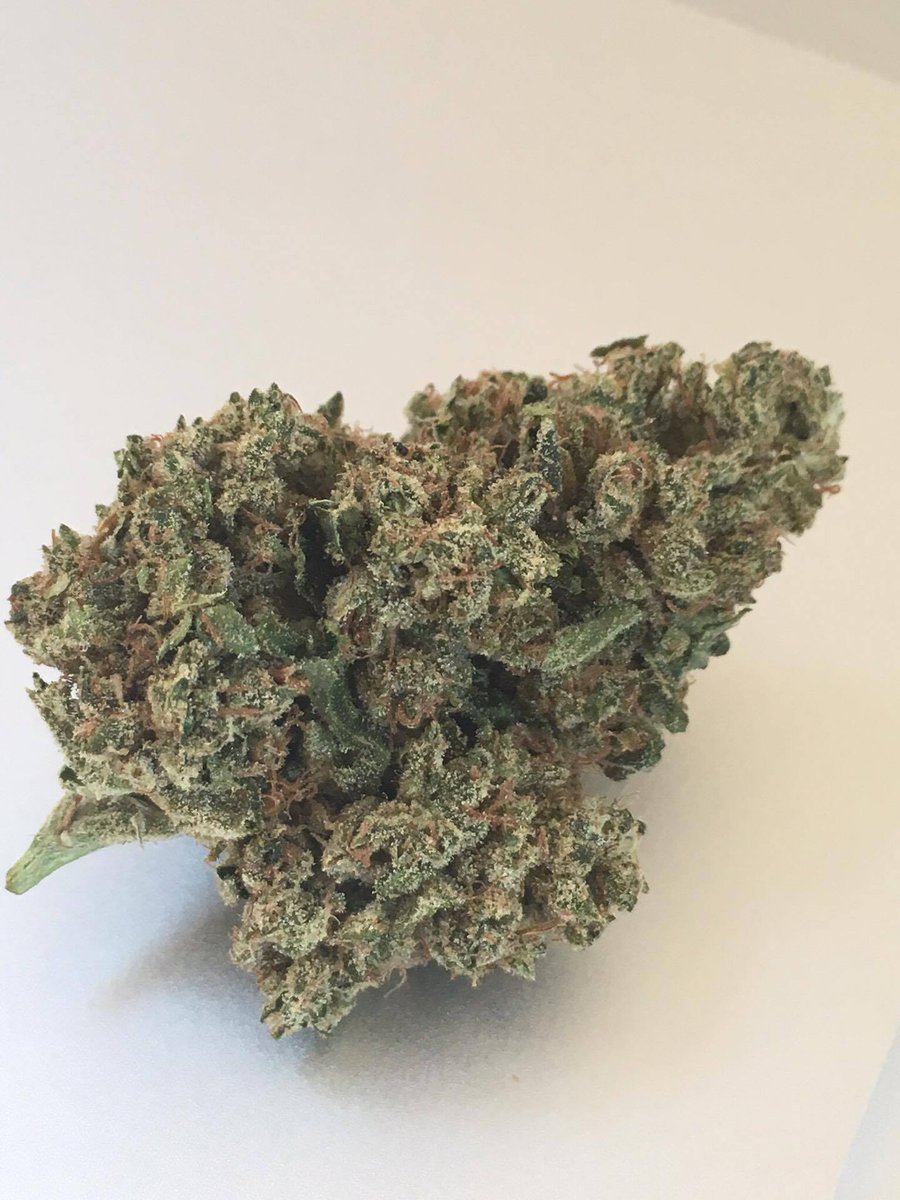 GreyArea420's tweet photo. Check out this chunky Greybone - 1st place indica from #amsterdamunitycup #GA #greybone #greyarea420 #indicacupwinner #kosherkushxevergrey https://t.co/5EiB9MKZlt