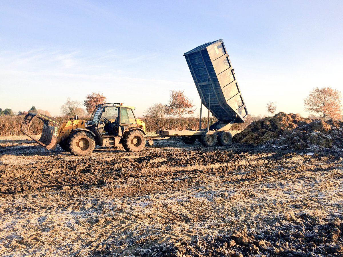 Lovely frost this morning for tipping muck #muck #frost #winterishere #JCB #cold #farming #farm365 ❄️🚜💩