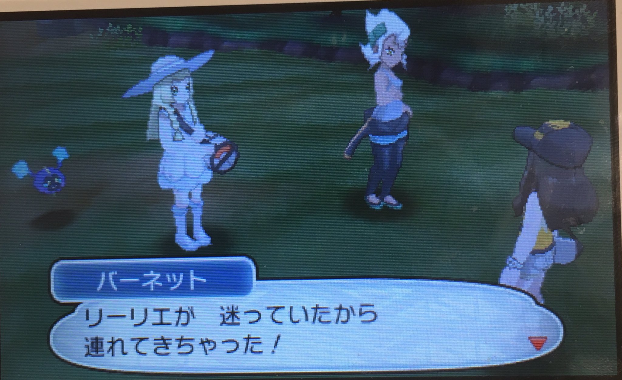 どせいヨッシー ハノハノビーチにて捕まえたポケモンたち ヒトデマンとケイコウオからわかる水ポケモンの勢力図 キャモメ ケイコウオ ネオラント ヒトデマン 今回のポケモン図鑑の説明は余談的なのが多くて なかなか面白い T Co
