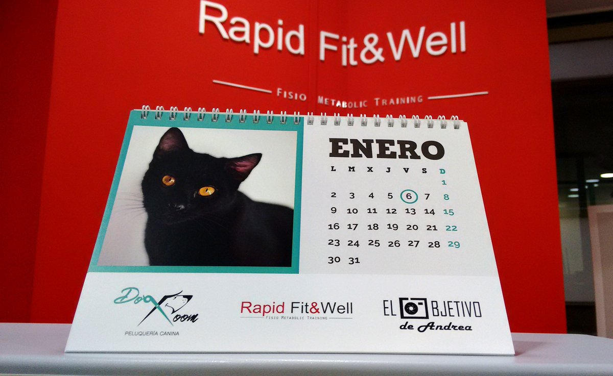 rapidcuenca's tweet photo. Encantados de colaborar un año más con el calendario solidario de SOS Rescue Cuenca para la protección felina. https://t.co/b9aA0ShE7l