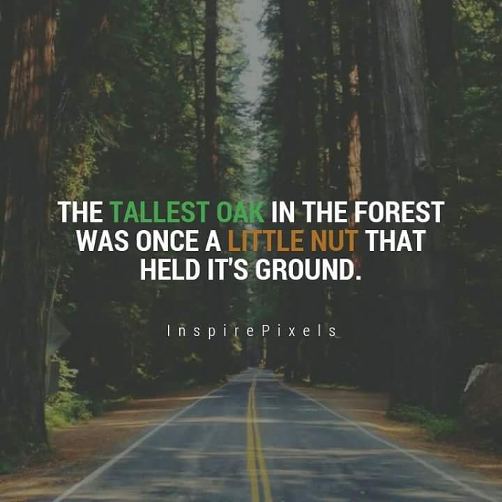 DanksieE's tweet photo. #startsmallgrowbig https://t.co/RmhCj0pwkg