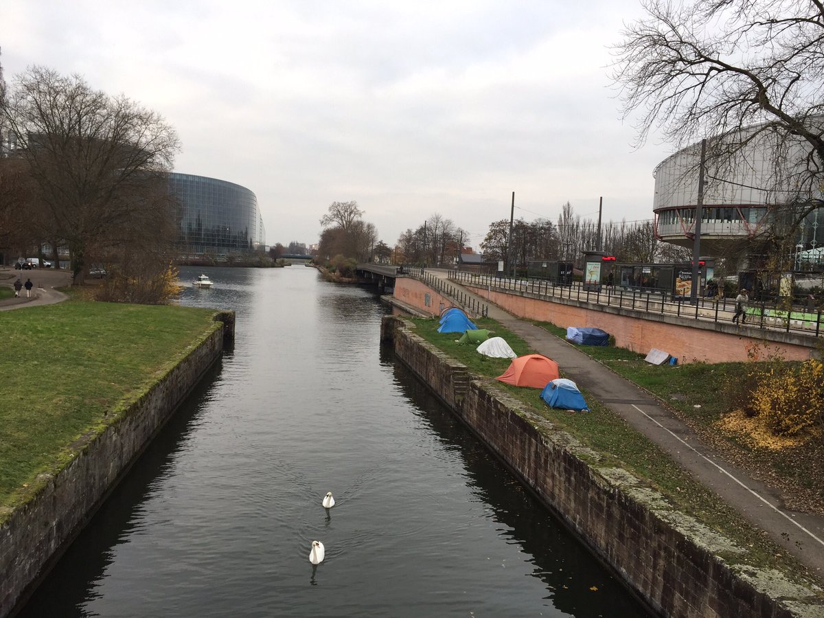 monica_micu's tweet photo. Trece lebăda de ape.
#strasbourg #CEDO #protestatari #corturi https://t.co/mAycn7zF9C
