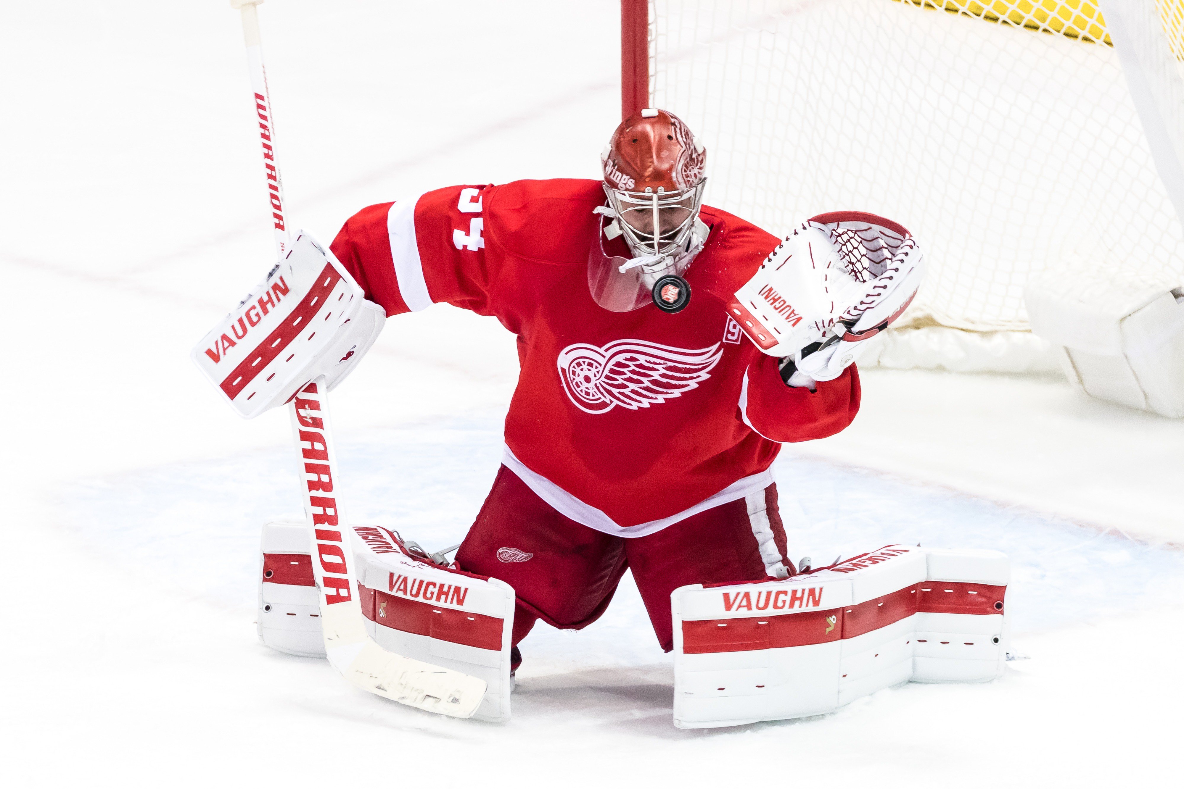 Sergey Fedorov 91 Detroit Red Wings Wallpapers