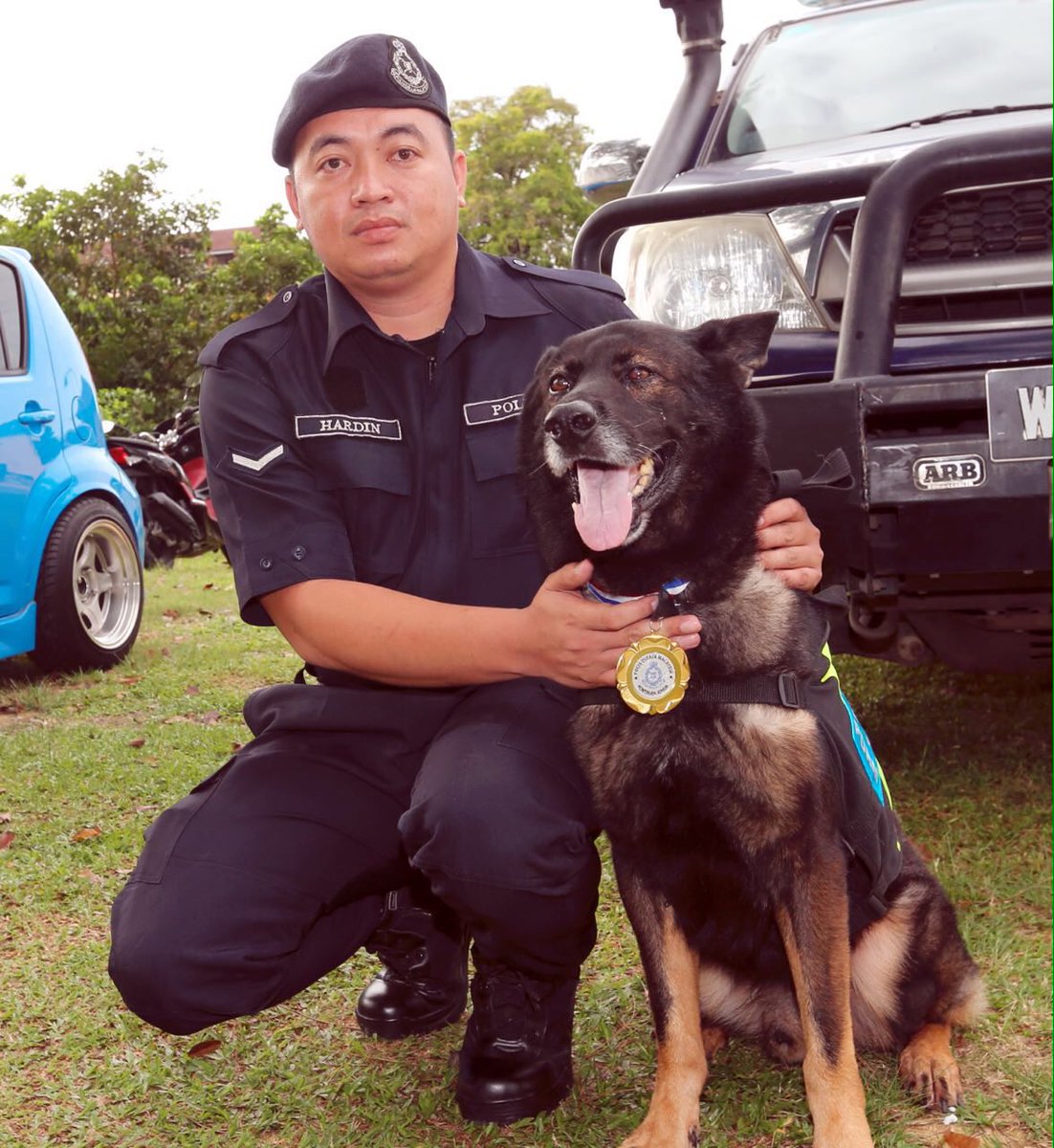 NST_Online's tweet photo. Top sniffer: German Shepherd Murat wins Johor police Jasamu Di Kenang award @PDRMsia https://t.co/MmRxx9FlqL https://t.co/PVtfmI2FYe