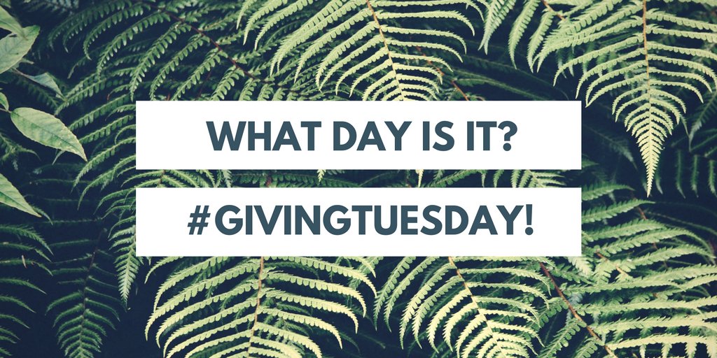 ImpactNW's tweet photo. It's time to make a difference: it's #GivingTuesday! Donate through @GiveGuidenow! https://t.co/NMBqK12mKf #makeanimpact2016 #OregoniansGive https://t.co/6CrrQjA7aw