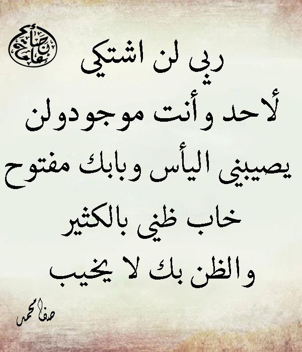 MOHASOBHY's tweet photo. https://t.co/5GOO3M5KFE