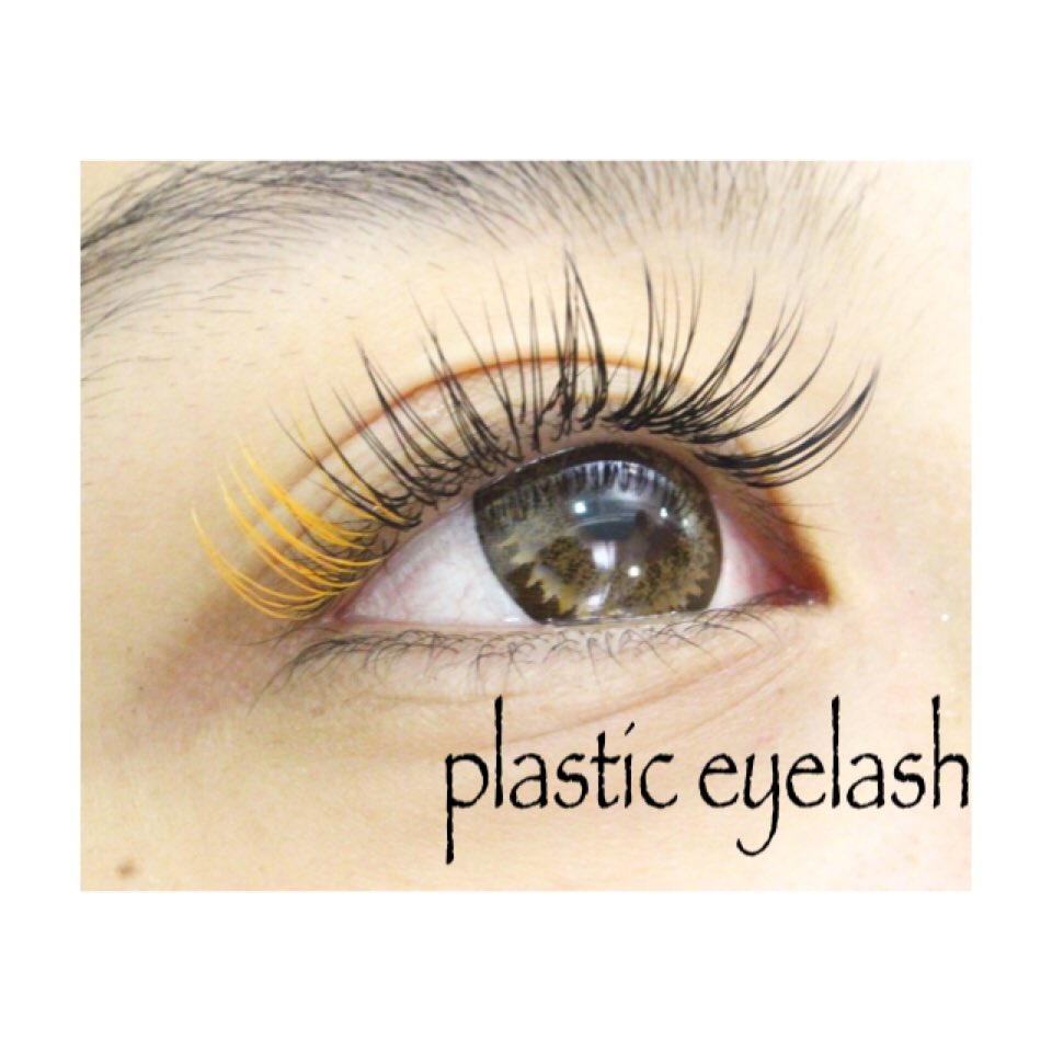 Plastic Eyelash 本厚木 Plasticeyelash Twitter