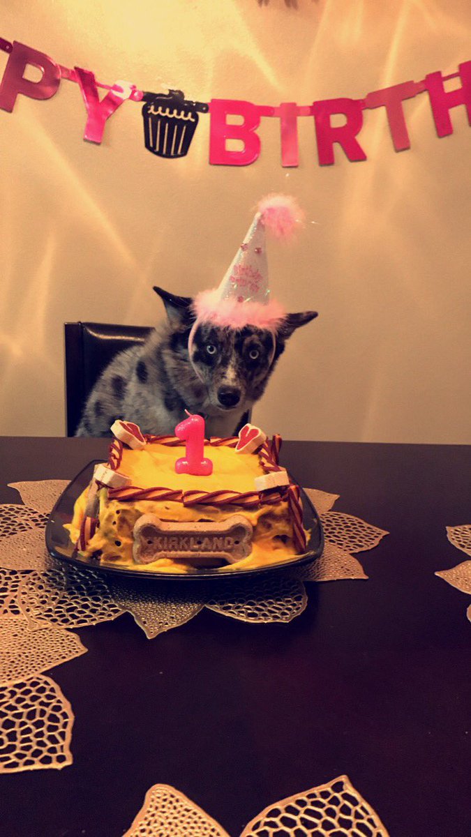 _justinaloves's tweet image. Slightly obsessed 😩💘 happy birthday bbygirl 😘