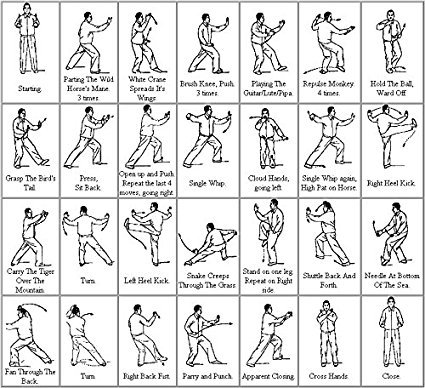 20+ Tai Chi Hands Stock Illustrations, Royalty-Free Vector Graphics & Clip  Art - iStock | Tai chi class, Martial arts, Kung fu