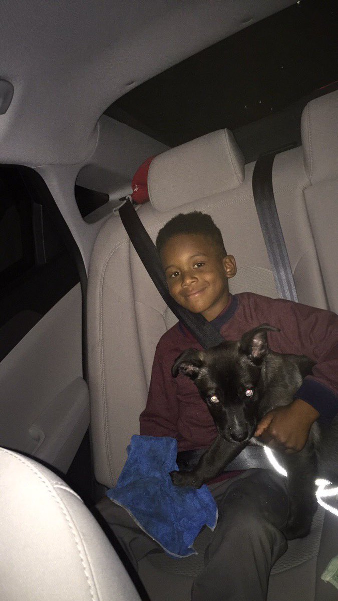 blueyesZeus's tweet photo. Tell me why he wanted to touch me with that rag boy he trippen Ruff Ruff #pethacks #dogstrugglss #PuppiesOfTwitter #zeus #greekgod https://t.co/WCMKXaYQme