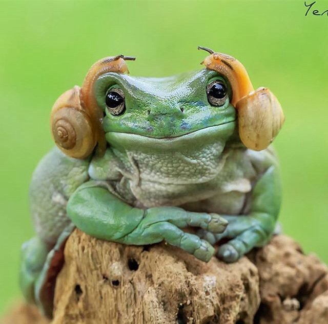 BladeRecruit's tweet photo. Good morning London. Chilly out there this morning.dont forget your earmuffs. Photo credit Tanto Yensen. #frogDJ https://t.co/0blnJDx0s1
