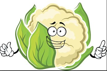 A cauliflower is a plant explosion in extreme slow motion.