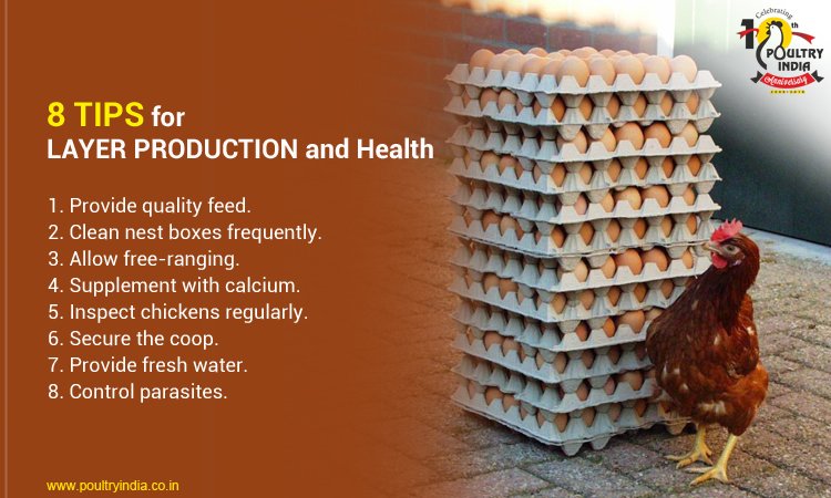 PoultryIndia15's tweet photo. 8 Tips for your Layer Chickens Healthy and Egg Production !!
Visit us @ https://t.co/vr9zoT7qGQ
#poultryindia #layerhealth #layerproduction https://t.co/KYLkQx9kSc