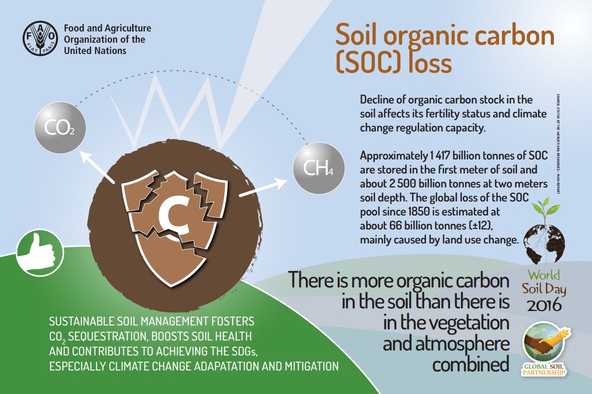 FAO Knowledge tweet media