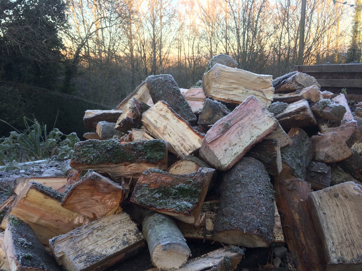 Frosty Logs in Mid-Wales this morning.