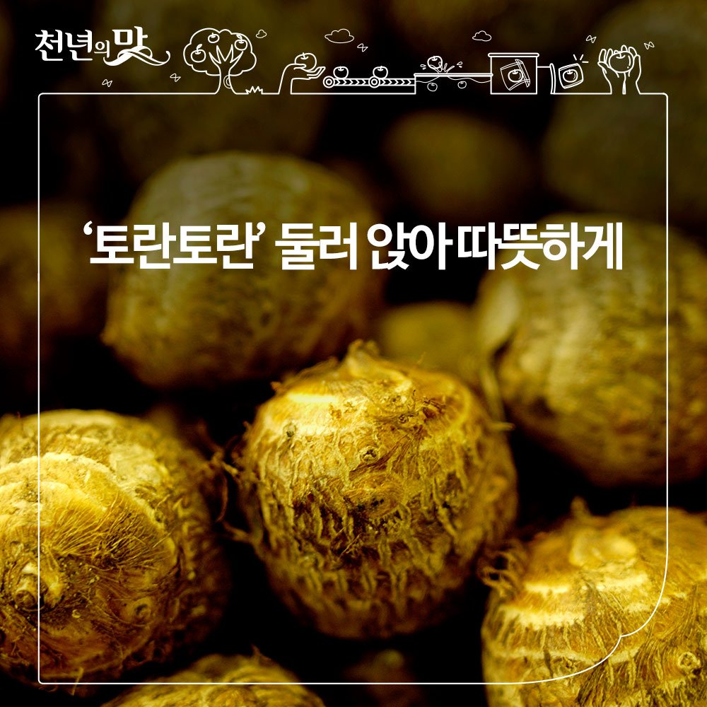 옛날 명절 보양식이었던 토란국.
토란은 칼륨이 풍부해서 나트륨 배출을 돕고
혈압을 낮추는데 뛰어난 효과가 있습니다.